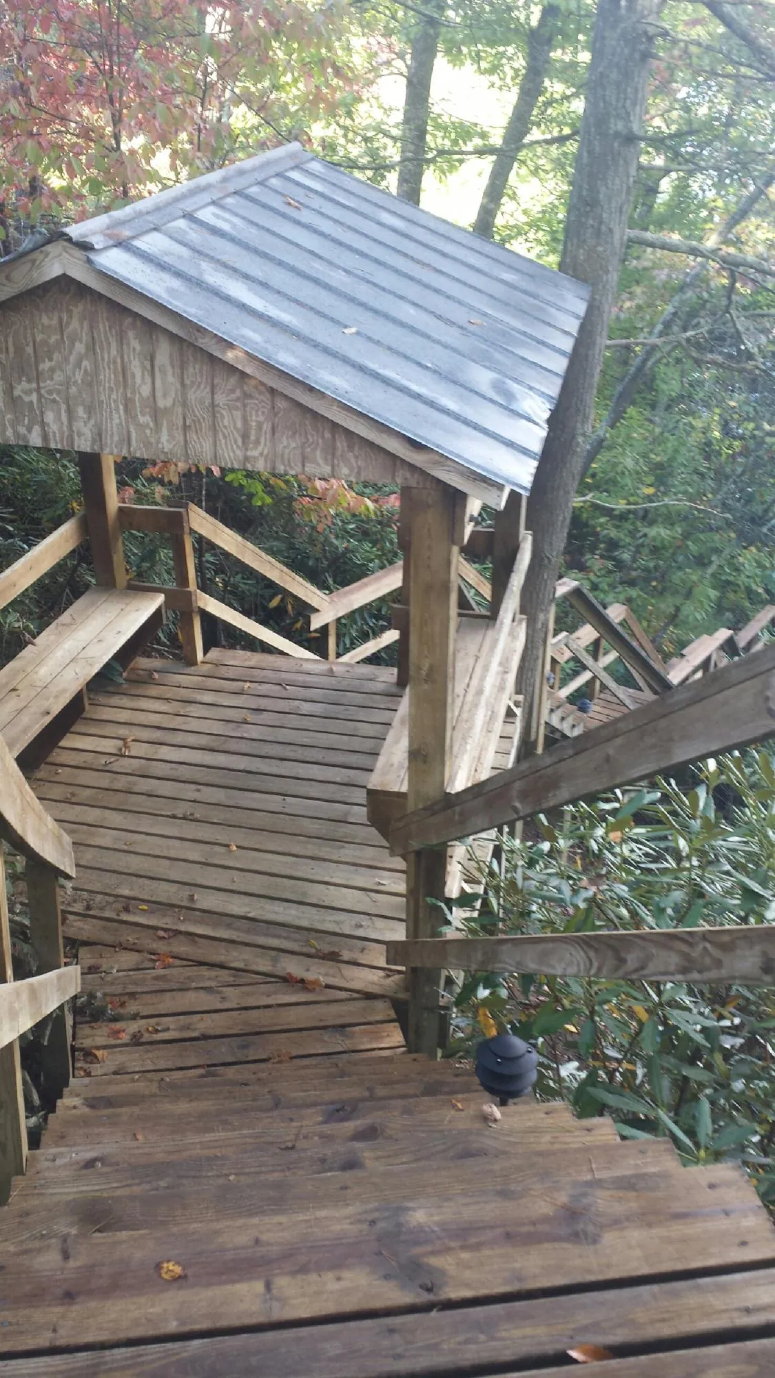 Metal roofed shelter over wooden steps on a wooded walkway — Skylight Repair & Installation work by our crew in Camas Valley
